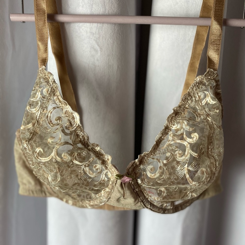 WHIMSY lace bra.